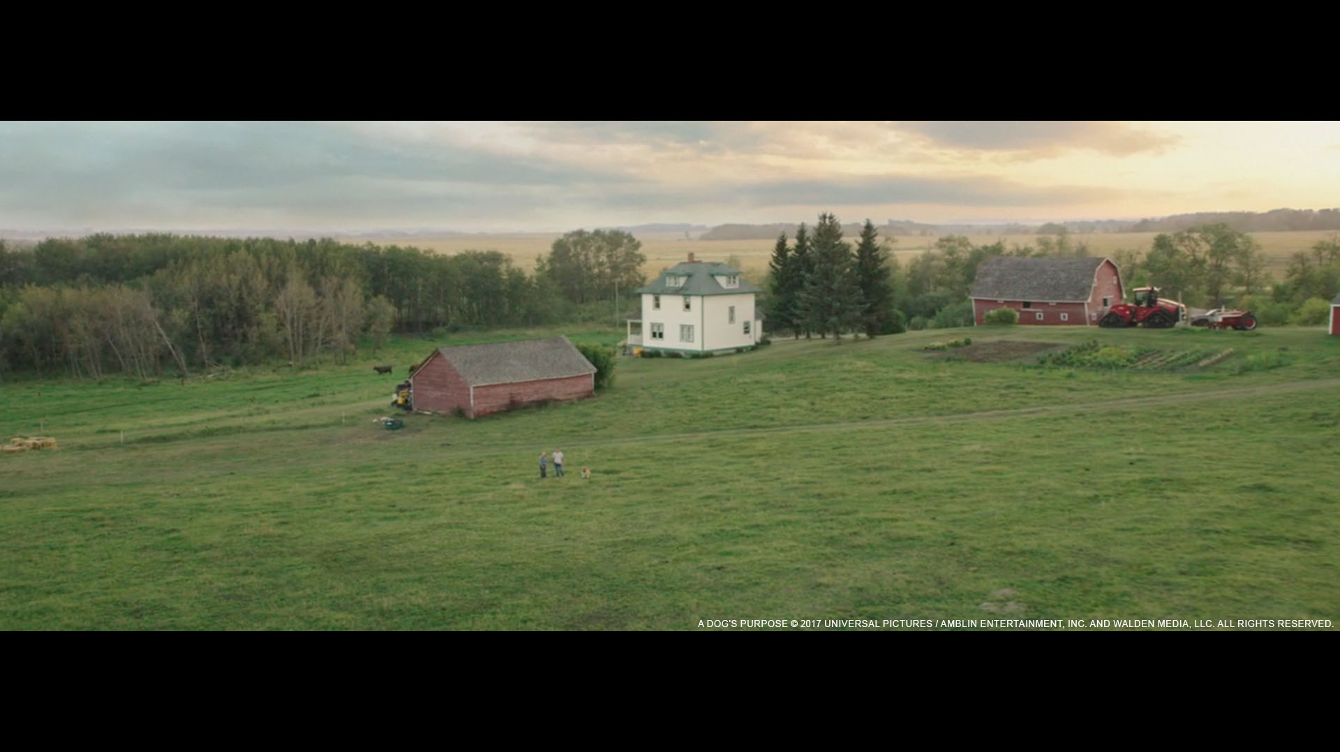 horizon and Sky Replacement 2